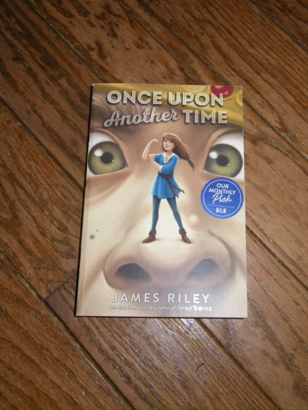 Once Upon Another Time by James Riley YA Paperback Book